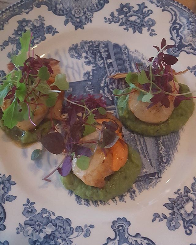 Delicious dinner @northhouse.cowes 
Thank you
Scallops on a bed of pea puree
Oysters 
Seafood curry
Chocolate truffles