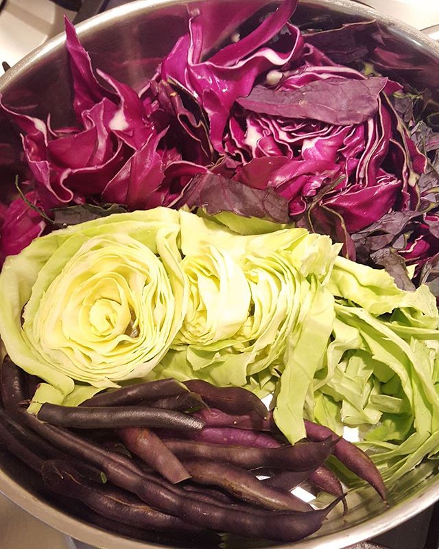 Vegetables with deep purple colouring have adfitional immune boosting anti-oxidants.

Red cabbage, home grown purple beans and ordinary green cabbage to help recovery from flu.
Boiled in a little salted water.
Served with organic salmon steak for omega3