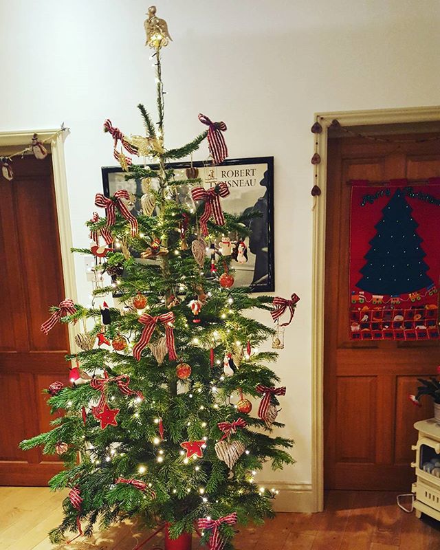 The tree is now up