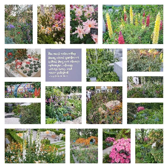 RHS Chelsea Flower show 2018.

Going to the Chelsea Flower show always inspires me with my own garden designs and planting, especially when I find the same plants as I've planted in the Show Gardens. 
Obviously mine are never as perfect as the Chelsea garden ones!  One can only aspire.
.
.
.
.
.
@the_rhs