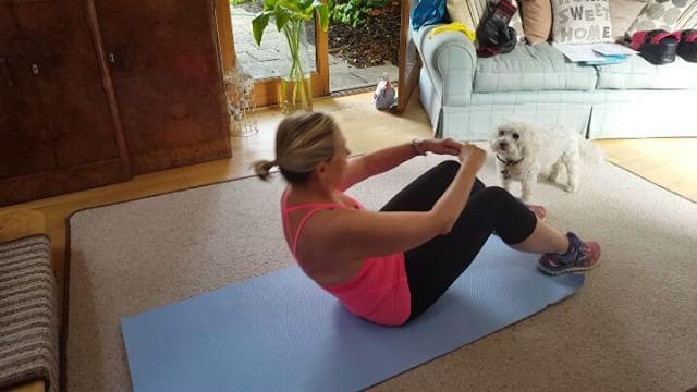 Monday morning sit-ups.
Back to the weekday fitness regime with @misslucy_lou westie x bichon who seems unimpressed by my efforts to keep my core and lower abs working hard.

@misslucy_lou