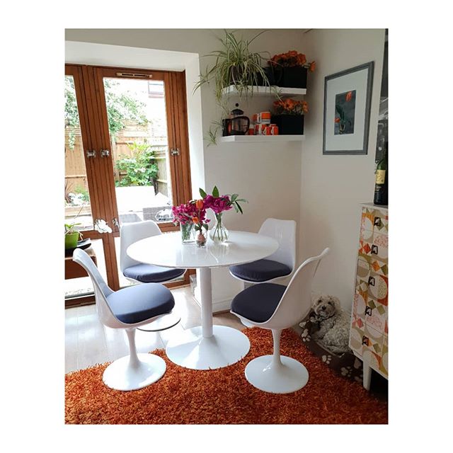 Loving my new stylish Tulip kitchen chairs.

Thank you @pashclassics for getting them to me in less than 12 hours!
They finish off the 50's style vibe in this kitchen corner.
Spot @misslucy_lou the bichon/westie cross on her bed in the corner. 
She always wants involved and to be in the picture.
The fuschia coloured Sweet Peas and beautiful Peonies are all from my Isle of Wight garden.
The orange Tulips are silk fakes. 
I often mix real flowers with fake when interior styling or staging a property.
.
.
.
.
.