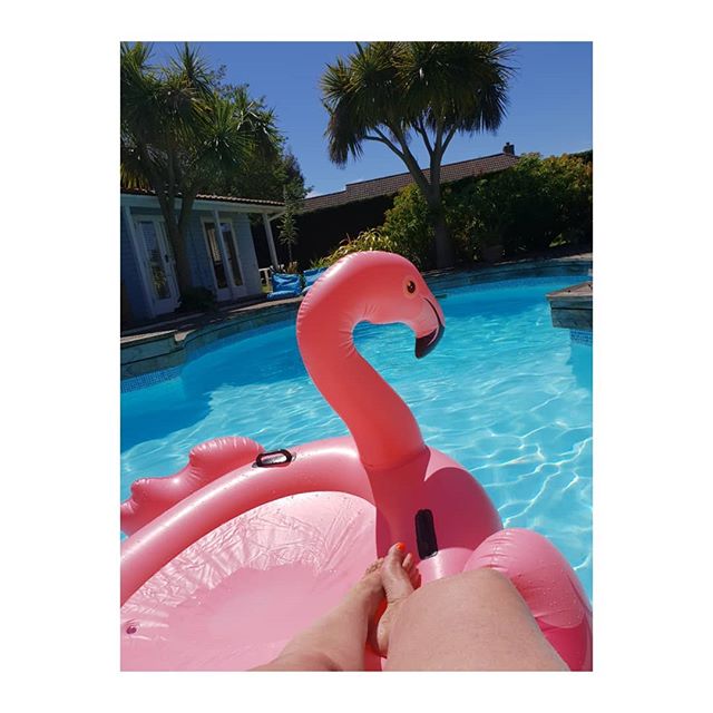 Pink flamingo poolside.

This could be somewhere abroad but this is my pool in the Isle of Wight in the UK whilst we are having a weekend heatwave.
.
.
.
.
.
.